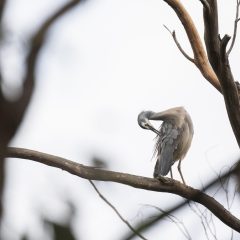 jim运营周念在工位前整理读者来信清单的照片，屏幕上是分类好的反馈表格，手边放着写满批注的便签纸